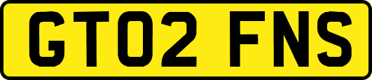 GT02FNS