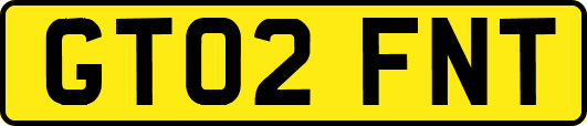 GT02FNT