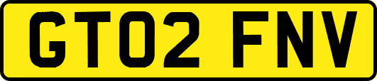 GT02FNV