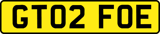 GT02FOE