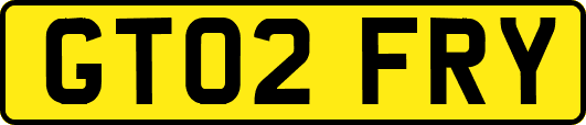 GT02FRY