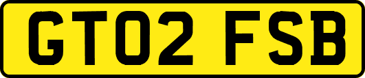 GT02FSB