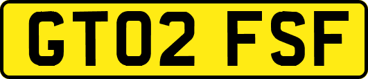 GT02FSF