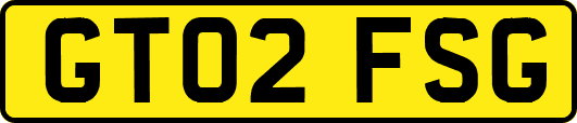 GT02FSG