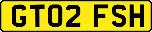 GT02FSH