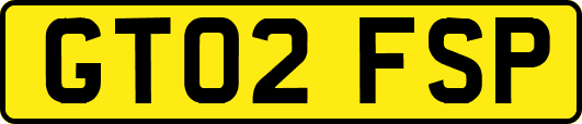GT02FSP