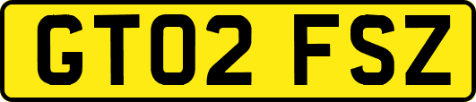GT02FSZ