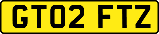GT02FTZ