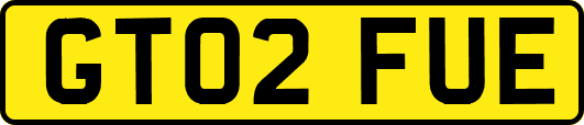 GT02FUE