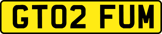 GT02FUM