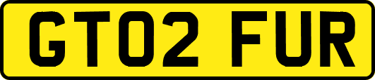 GT02FUR