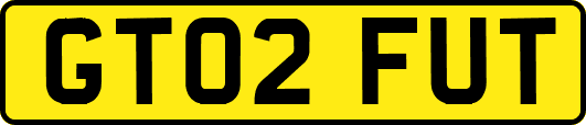 GT02FUT