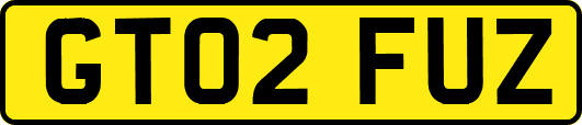 GT02FUZ