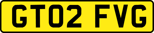 GT02FVG