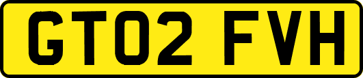GT02FVH