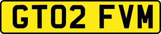 GT02FVM