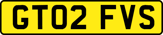 GT02FVS