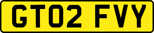 GT02FVY