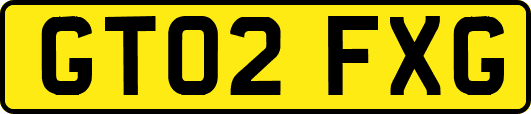 GT02FXG