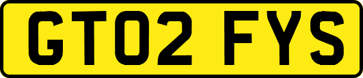 GT02FYS