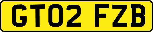 GT02FZB