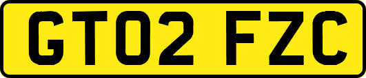 GT02FZC