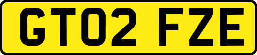 GT02FZE
