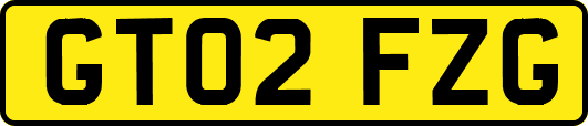 GT02FZG