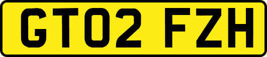 GT02FZH