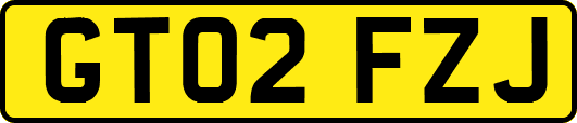 GT02FZJ