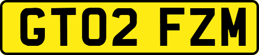 GT02FZM