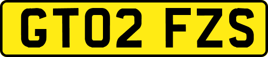 GT02FZS
