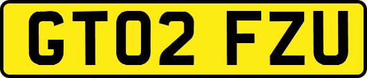 GT02FZU