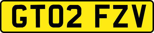 GT02FZV