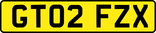 GT02FZX
