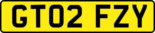 GT02FZY