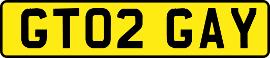 GT02GAY