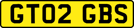 GT02GBS