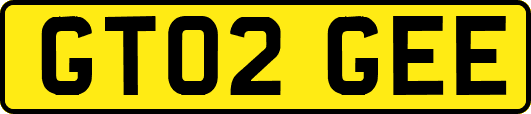 GT02GEE