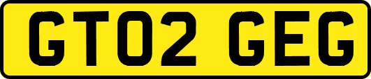 GT02GEG