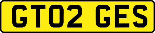 GT02GES