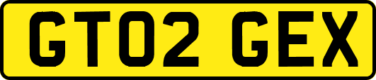 GT02GEX