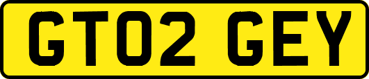 GT02GEY