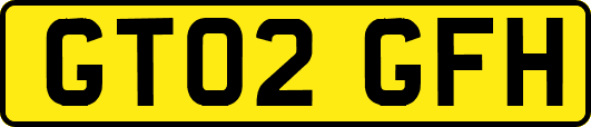 GT02GFH