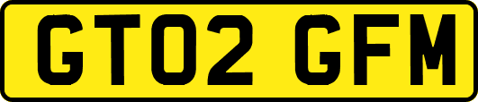 GT02GFM