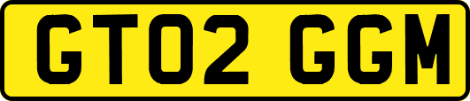 GT02GGM