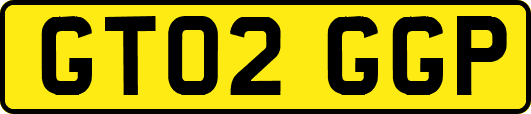 GT02GGP
