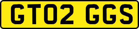 GT02GGS