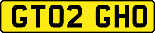 GT02GHO