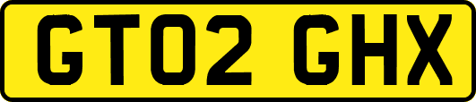 GT02GHX